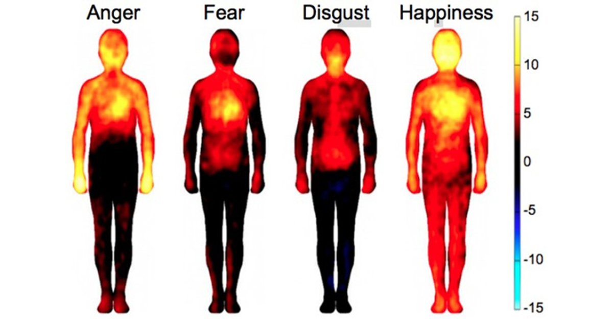 Effect of anger on body